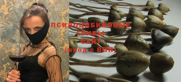 mdpv Алзамай