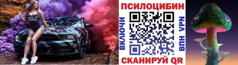 Псилоцибиновые грибы мухоморы  где купить наркоту  МЕГА зеркало  Сатка 