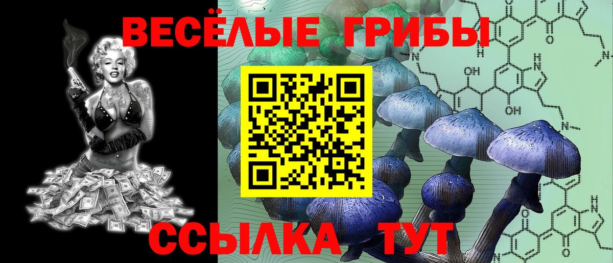 Псилоцибиновые грибы ЛСД Сатка